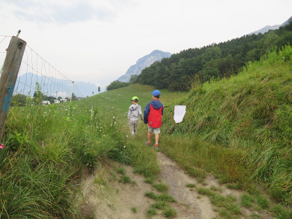 Zwei Kinder mit Schmetterlingsnetzen auf einem Weg, der durch Wiesen führt