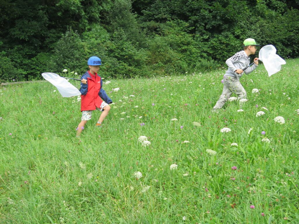 Zwei Kinder mit Fangnetzetn laufen auf einer Wiese Schmetterlingen hinterher.