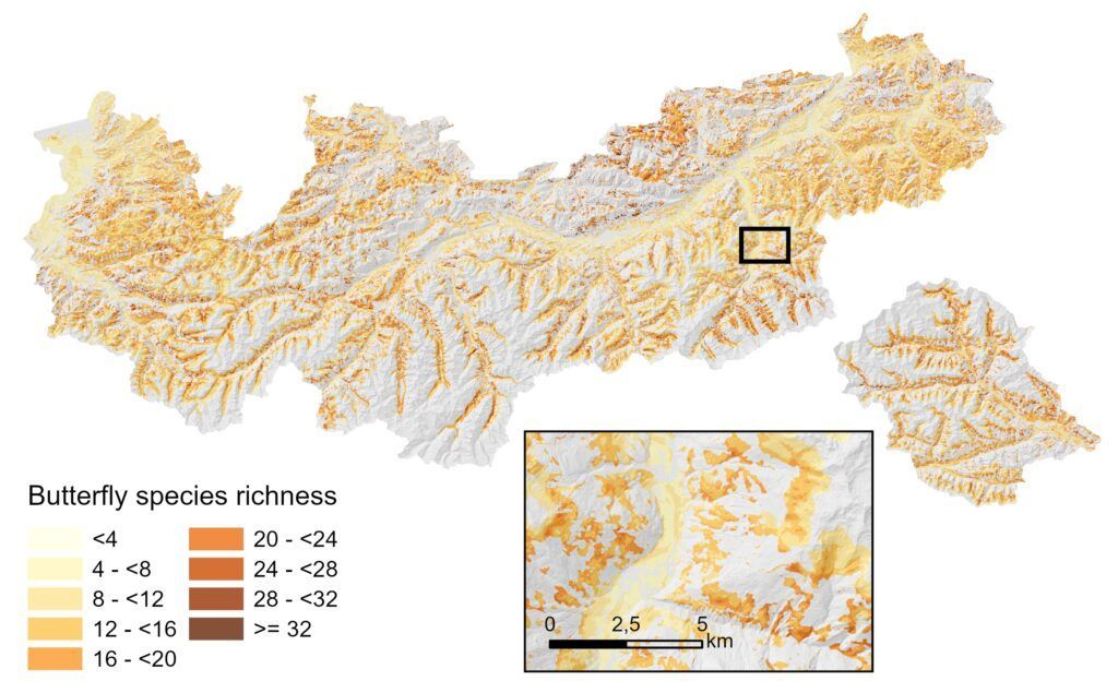 Karte von Tirol und Vorarlberg mit der modellierten Artenzahl von Tagfaltern basierend auf der Studie "Abbildung aus der Studie "Mapping butterfly species richness and abundance in mountain grasslands – spatial application of a biodiversity indicator".