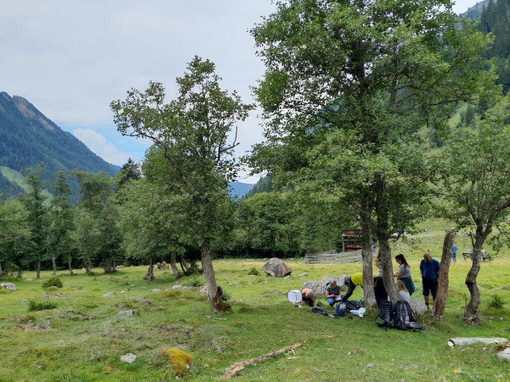 Exkursion im Valsertal
