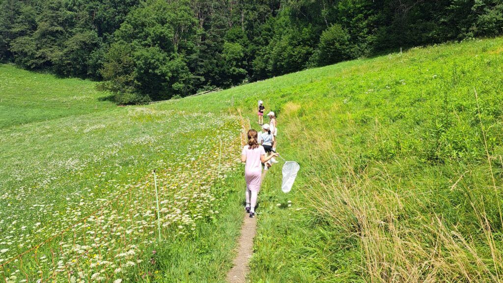 Junge Uni trifft Viel-Falter