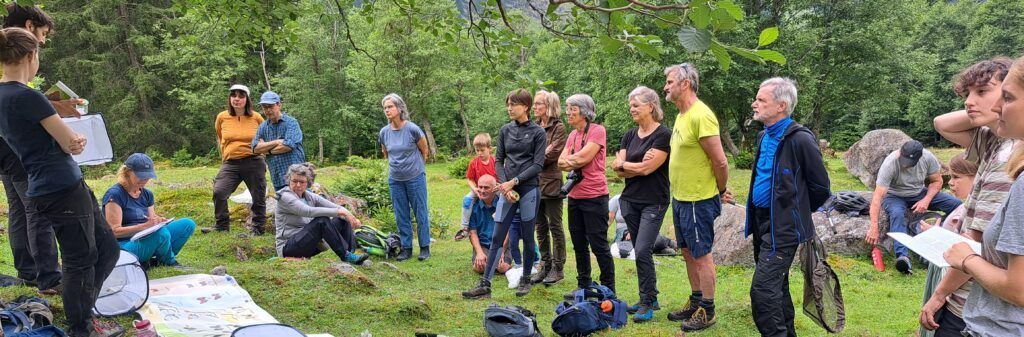 Viel-Falter Ehrenamtliche Erheber*innen